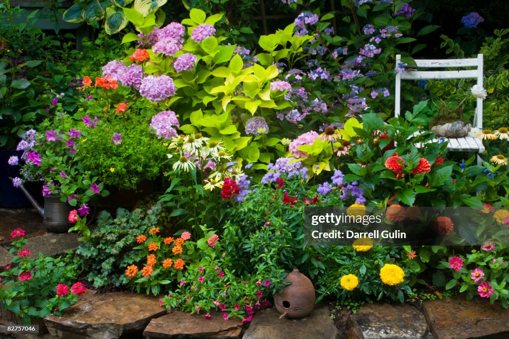Garden with Chair