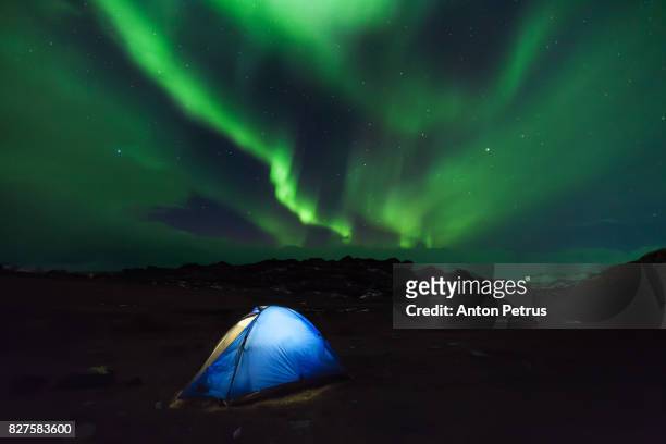 aurora borealis on iceland and a camping tent - entertainment tent bildbanksfoton och bilder