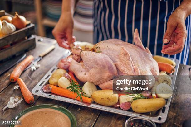 preparing stuffed turkey for holidays - raw turkey stock pictures, royalty-free photos & images