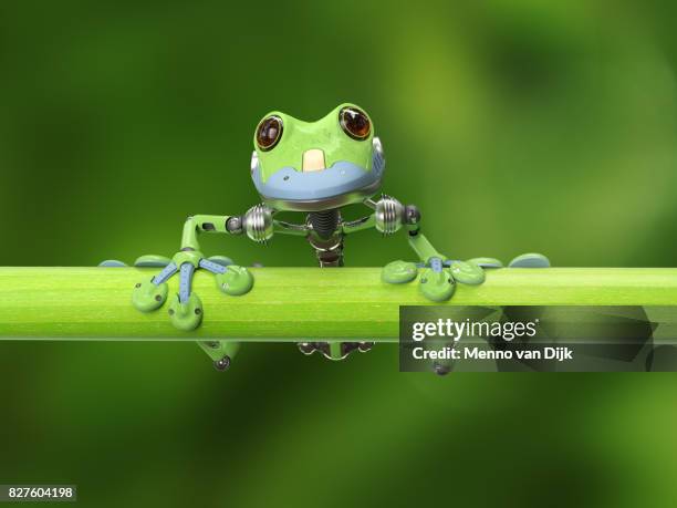 treefrog on a branch - robot funny stock pictures, royalty-free photos & images