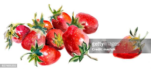 stockillustraties, clipart, cartoons en iconen met aquarel aardbei - strawberry