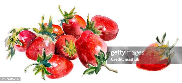 watercolor painting strawberry - strawberry stock illustrations