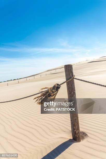 Tangled Path Tangled Path Photos and Premium High Res Pictures - Getty Images
