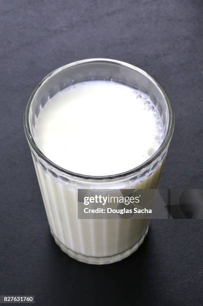 drinking glass of milk (bos primigenius) - bos taurus primigenius stock pictures, royalty-free photos & images