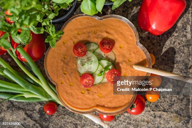 gazpacho - cold vegetable soup, spanish appetizer - gazpacho stock pictures, royalty-free photos & images