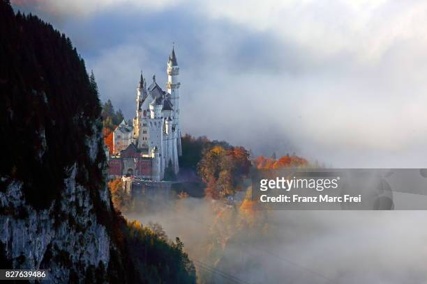 morning view of neuschwanstein, autumn, fuessen, allgaeu, bavaria, germany - neuschwanstein castle stock pictures, royalty-free photos & images