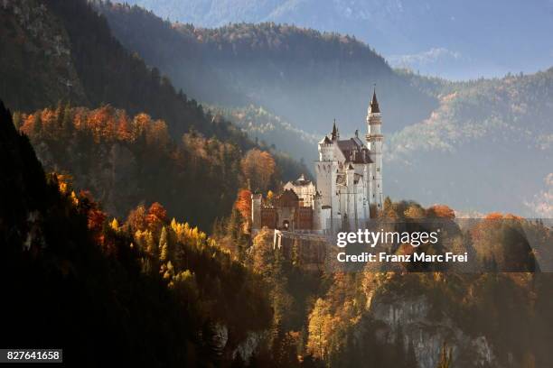 morning view of neuschwanstein, autumn, fuessen, allgaeu, bavaria, germany - neuschwanstein castle fotografías e imágenes de stock