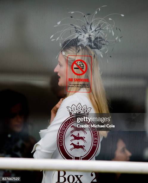 Racegoer in Box 2 behind glass'Ladies Day' at "Glorious Goodwood" - The Qatar Goodwood Festival at Goodwood Racecourse, August 3, 2017 in Chichester,...