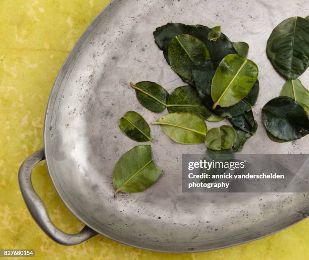 kaffir lime leaves on a pewter plate. - kafferlimoen stockfoto's en -beelden