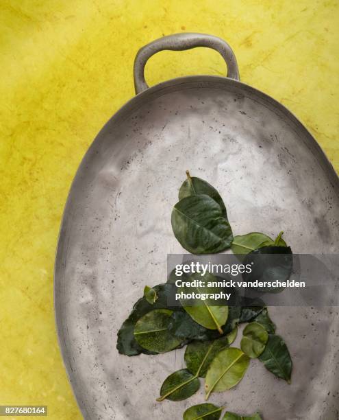 kaffir lime leaves on a pewter plate. - kafferlimoen stockfoto's en -beelden