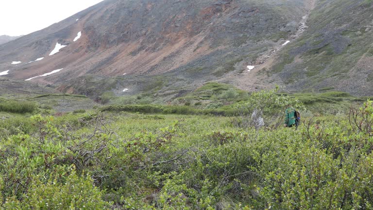Wildless 595 Old Woman Mountains Wilderness Stock Videos, Footage, & 4K Video ...