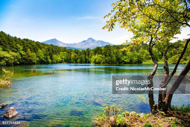 japan mount bandai with lake and tree in springtime - fukushima prefecture stock pictures, royalty-free photos & images