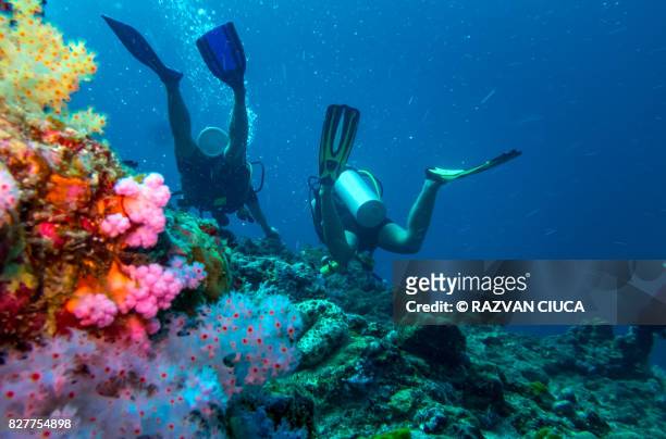 scuba divers - khao lak stock pictures, royalty-free photos & images