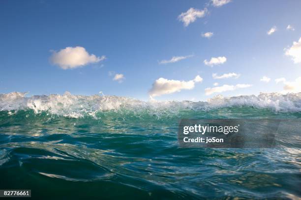 wave at sea, kailua beach park - kailua beach imagens e fotografias de stock