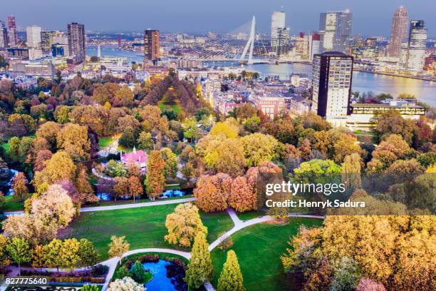 aerial panorama of rotterdam - rotterdam netherlands stock pictures, royalty-free photos & images