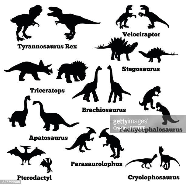ilustraciones, imágenes clip art, dibujos animados e iconos de stock de esquema de dinosaurio - velociraptor
