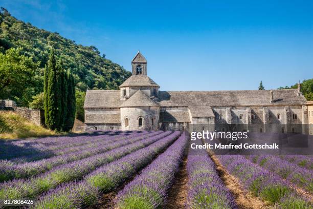 sénanque abbey with lavender fields - cisterciense - fotografias e filmes do acervo