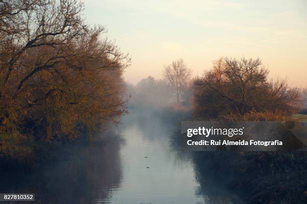 beautiful dawn on the banks of the river - río tajo fotografías e imágenes de stock