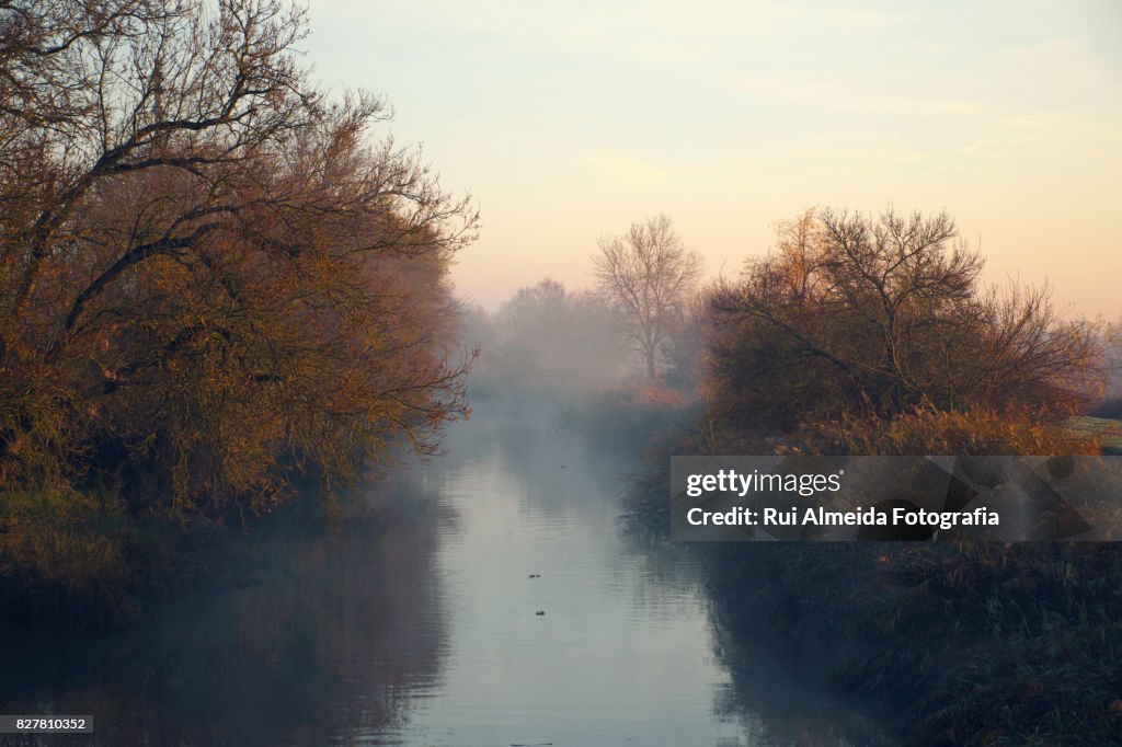 Beautiful dawn on the banks of the river