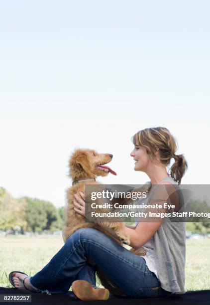 woman with mini golden doodle - pet owner stock pictures, royalty-free photos & images