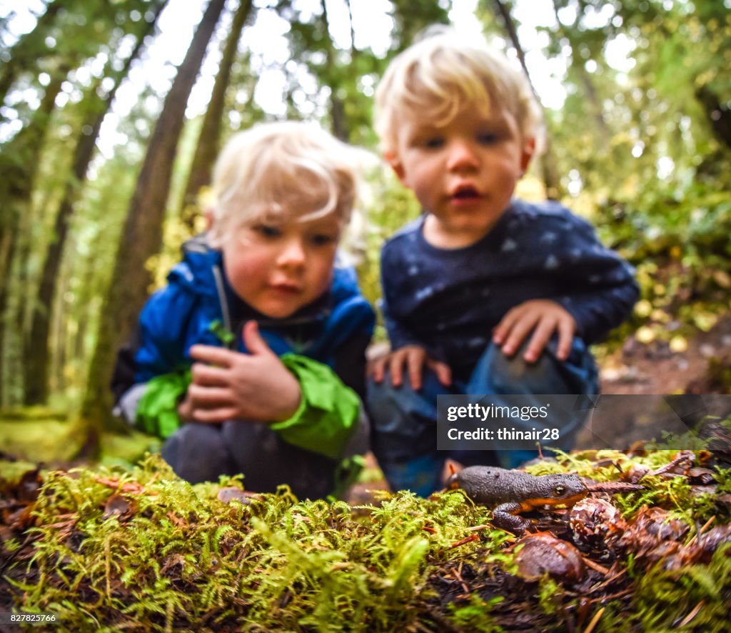 Children examining a rough skinned newt