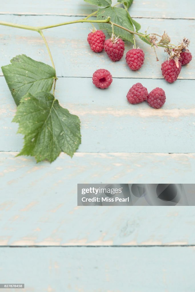 Selection of harvested raspberries on table top