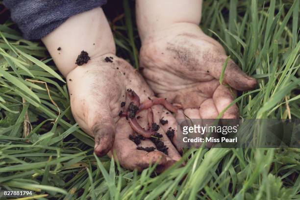child's hands in earth with worm - earthworm stock-fotos und bilder