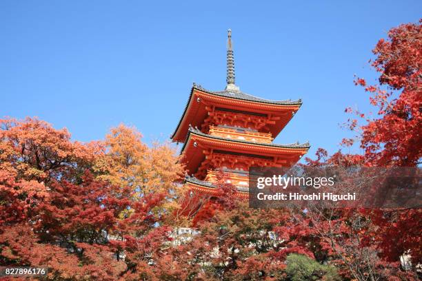 autumn at kiyomizu temple, kyoto, japan - kiyomizu dera temple stock-fotos und bilder