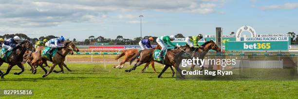 Altro Mondo ridden by Georgina Cartwright wins the Geelong Homes Maiden Plate at Geelong Racecourse on August 09, 2017 in Geelong, Australia.