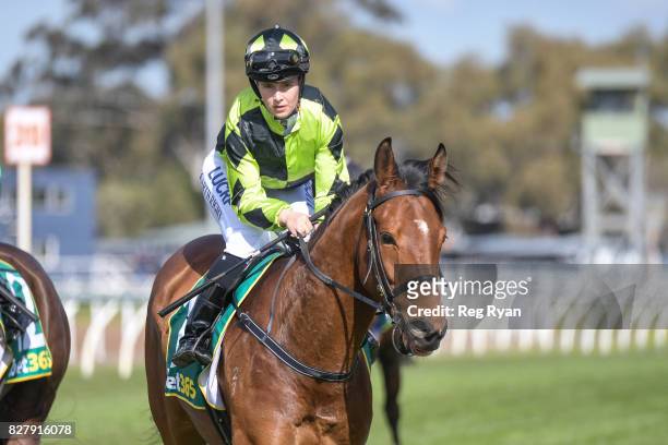 Georgina Cartwright returns to the mounting yard on Altro Mondo after winning the Geelong Homes Maiden Plate, at Geelong Racecourse on August 09,...