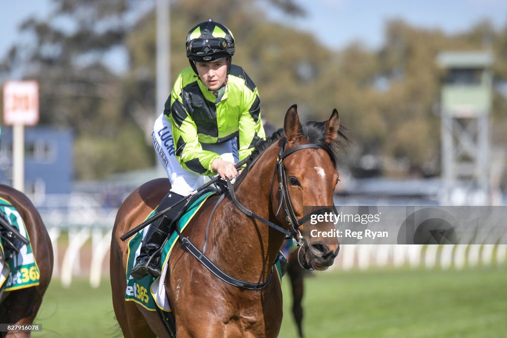 Geelong Homes Maiden Plate