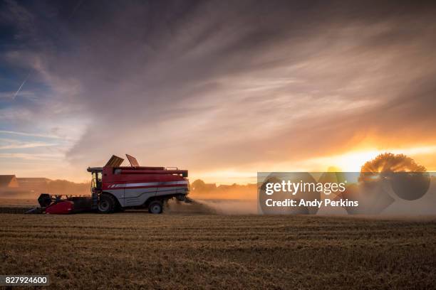 barley harvest, norfolk uk - norfolk east anglia - fotografias e filmes do acervo