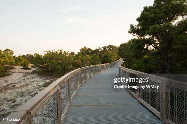 nature trail in delaware - lewes delaware - fotografias e filmes do acervo