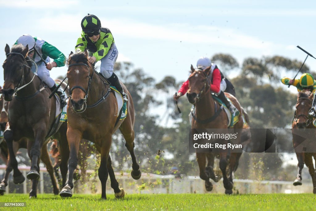 Geelong Homes Maiden Plate