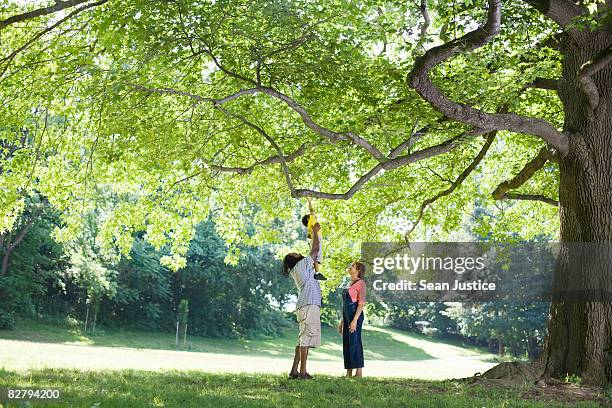 father lifting son upward - kid in tree stock pictures, royalty-free photos & images