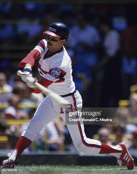 Ozzie Guillen of the Chicago White Sox bats during a game against the California Angels on June 22, 1985 in Chicago, Illinois.