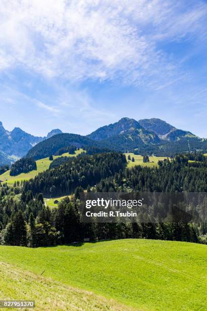 alps view, switzerland - saanen stock pictures, royalty-free photos & images