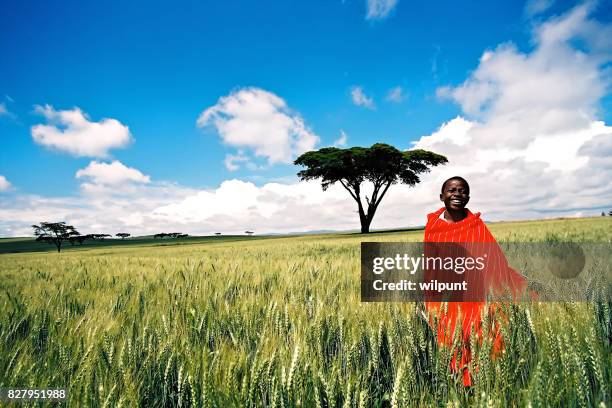 a smiling masai boy standing in wheat field - tribo africana oriental imagens e fotografias de stock