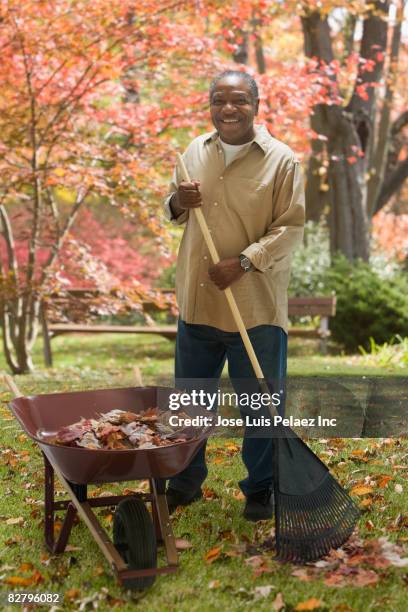 african man raking leaves - man raking leaves stock pictures, royalty-free photos & images