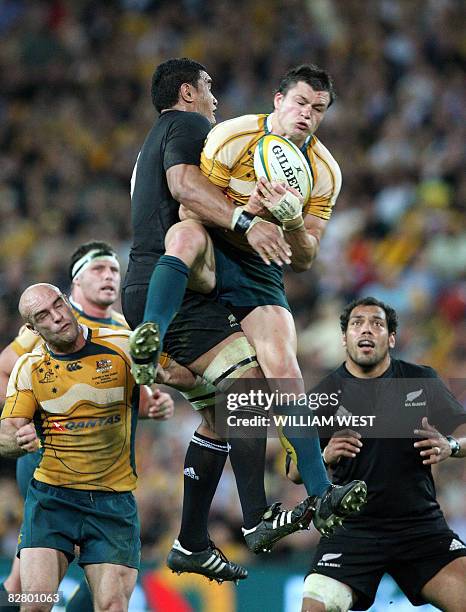 Adam Musa Rugby 550 Adam Ashley Cooper Rugby Player Stock Photos, High-Res Pictures ...