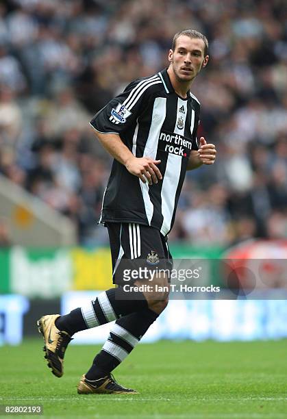 Xisco of Newcastle make his debut during a Barclays Premier League game between Newcastle United and Hull City at St James' Park on September 13 2008...