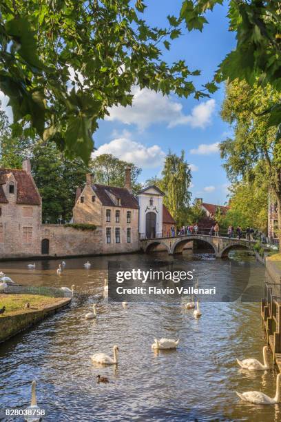 brugge - begijnhof, belgië - belgium canal stockfoto's en -beelden