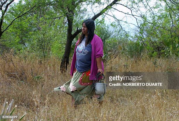 Woman carries water on a bucket in Cruce Pioneros, some 400 km north of Asuncion, in the semi-arid region of the Paraguayan Chaco on September 13,...