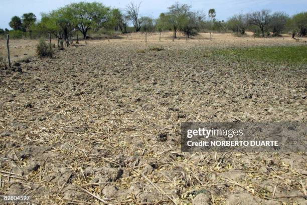 Picture of the bed of a dried water pool in the semi-arid region of the Paraguayan Chaco around Cruce Pioneros, some 400 km north of Asuncion taken...