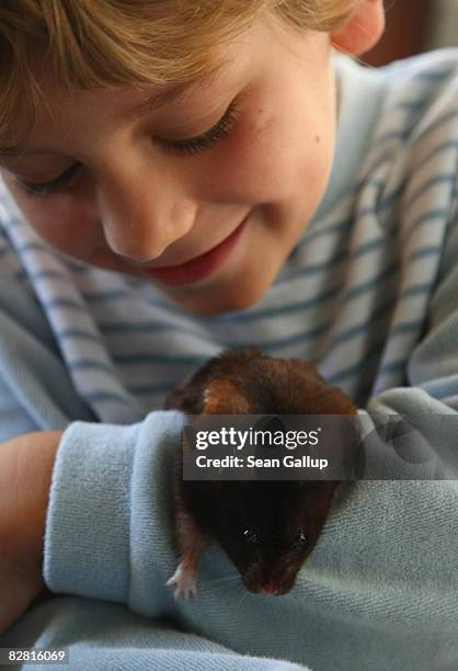 Litte boy plays with his pet hamster on September 13, 2008 in Berlin, Germany. Hamsters are among the most popular pets for children.