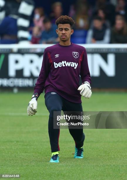 Tyler Fore Tyler Ham Photos and Premium High Res Pictures - Getty Images