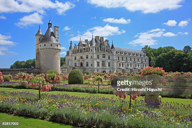 chateau de chenonceau - french garden stock pictures, royalty-free photos & images