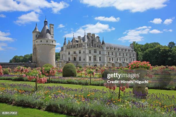 chateau de chenonceau - garden centre bildbanksfoton och bilder