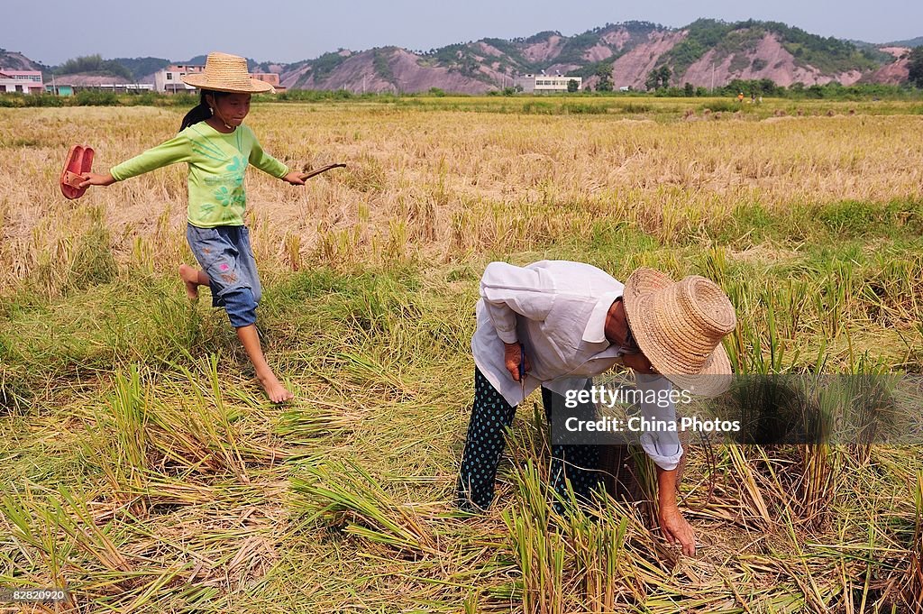 China Allocates More Financial Support For Farmers