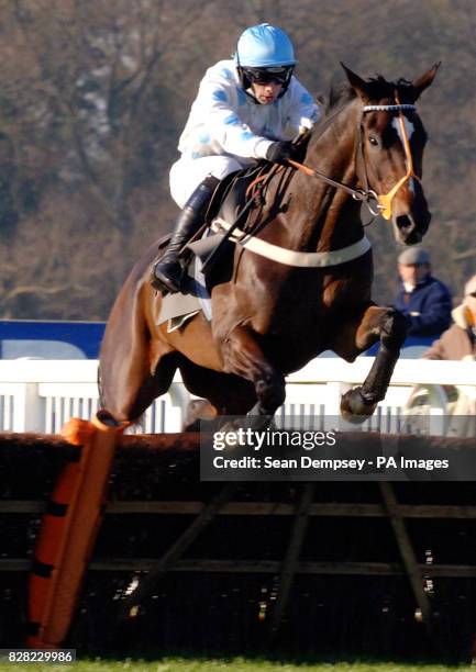 Tom Doyle Racing 478 Oscar Doyle Stock Photos, High-Res Pictures, and Images - Getty Images